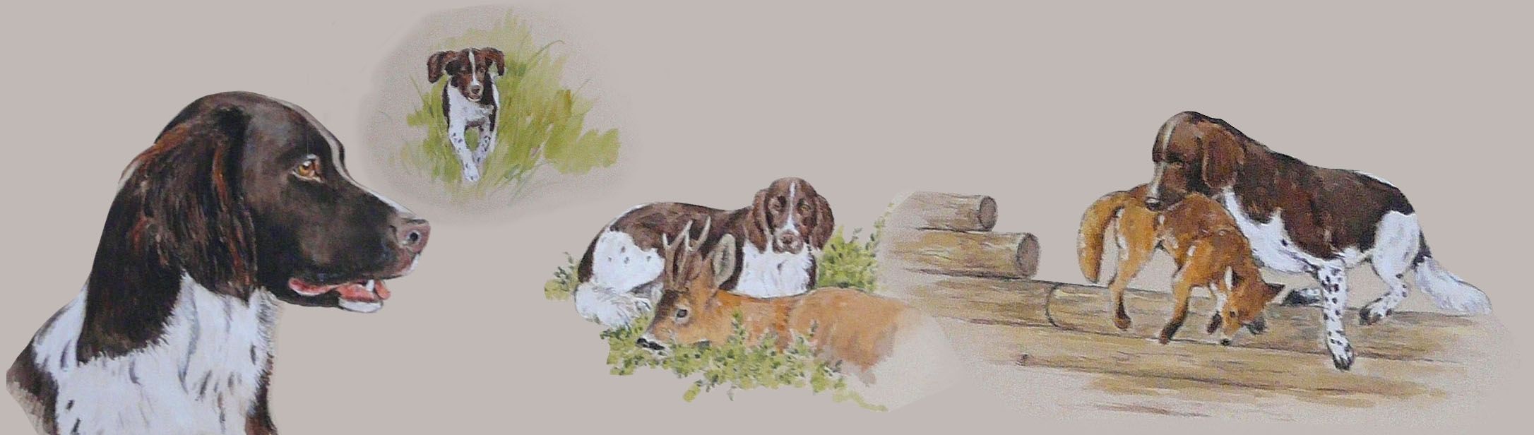 Studien gemalt vom Wildtiermaler Klaus-Peter Reif